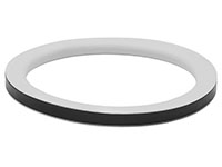 Replacement Gaskets (300 TF)