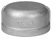 316 Stainless Steel Cap Fittings