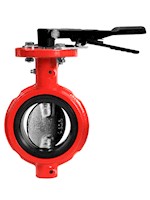 10 Inch (in) Size Ductile Iron Butterfly Valve with Notched Body and Short Neck