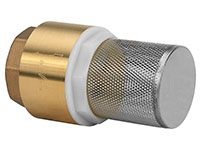 2 Inch (in) Size Brass Spring Loaded Check Valve with Filter
