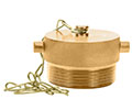 Brass Plugs & Chains -2712725
